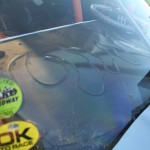 IMG_8870 IMG_8870